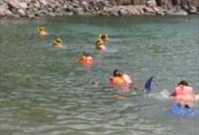 Blue Water Snorkel Cruise & Lunch